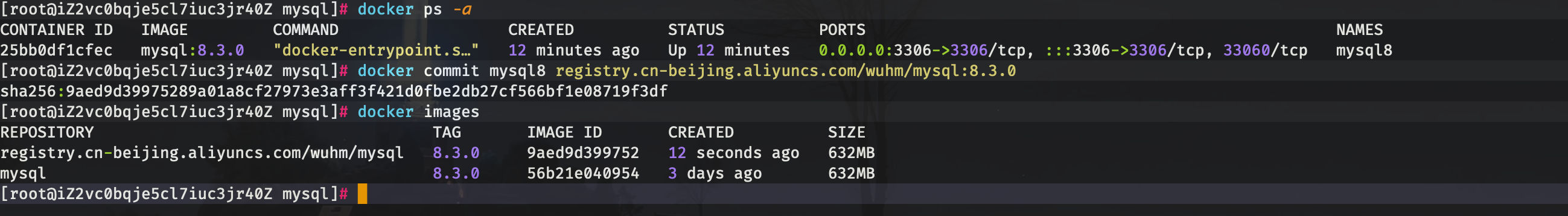 /images/docker-compose/docker-mysql-2.png